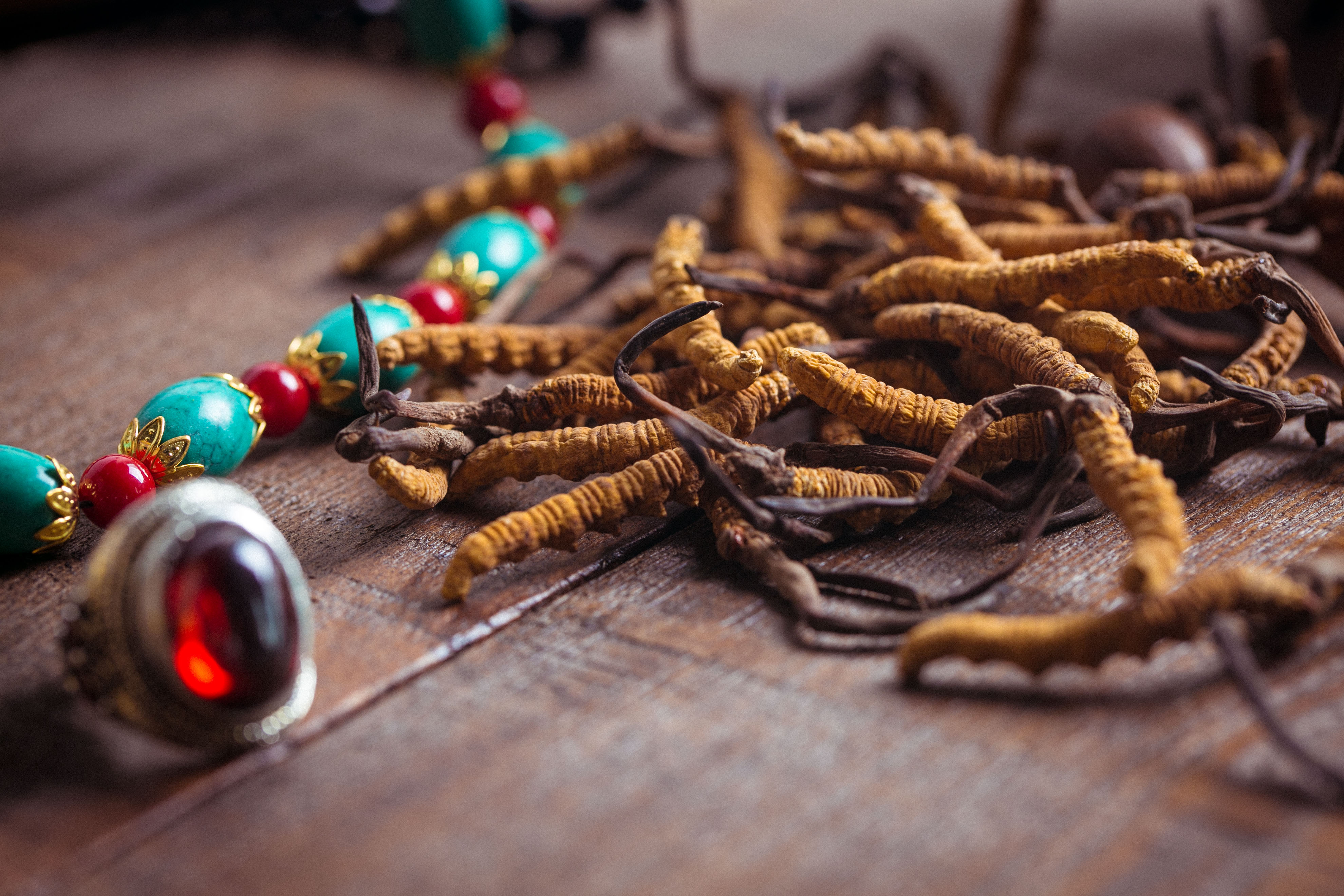 冬虫夏草不便宜，买回家要“正确保存”，价值高成分不受影响