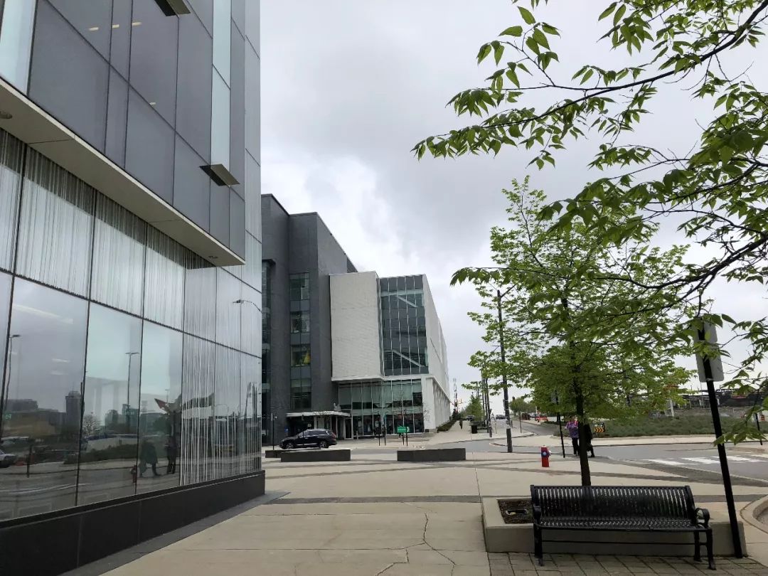 去加拿大读艺术，哪些学校最吃香？