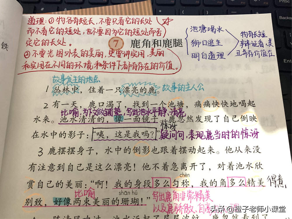 三年级语文《鹿角和鹿腿》，看老师备课笔记，感受鹿的心情变化