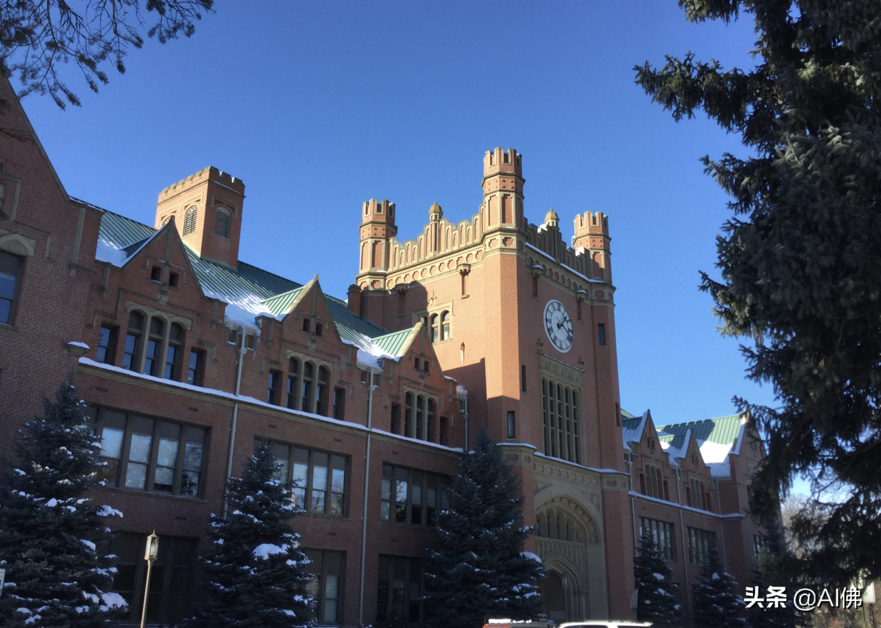 美国每个州ROI最高的公立大学