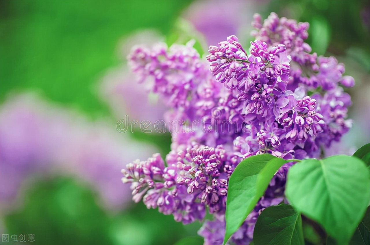 佳木斯医科大学（2021年佳木斯大学本科黑龙江录取情况）