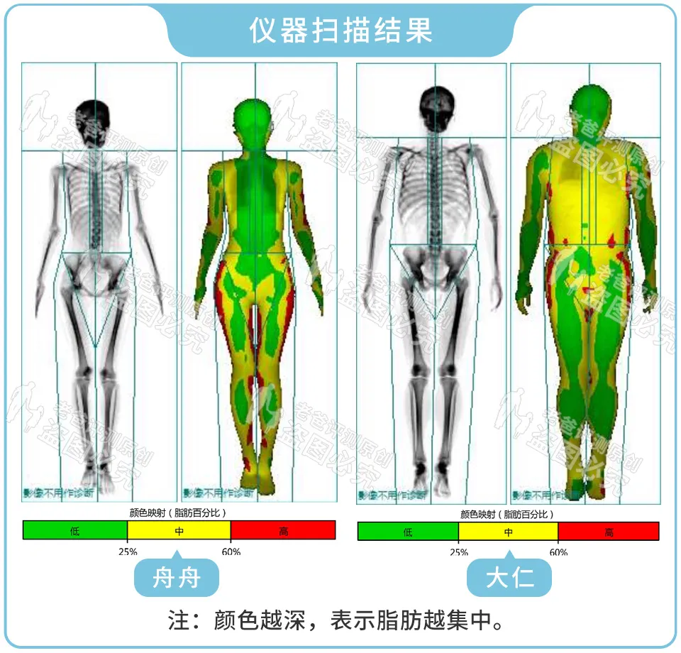 体脂称真的准吗?实测17款热门体脂称,得出了扎心的结论