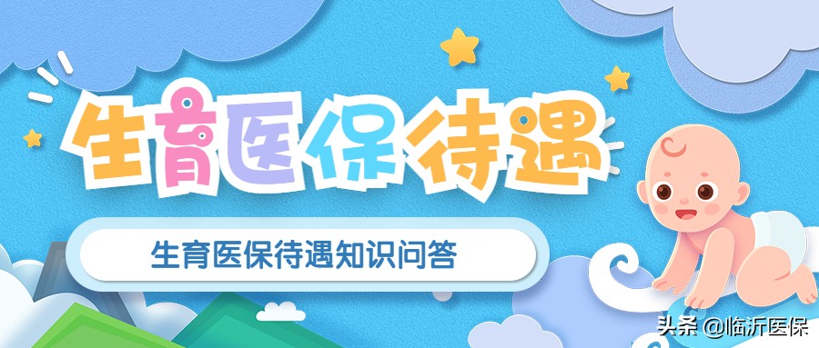 生育医保待遇知识问答