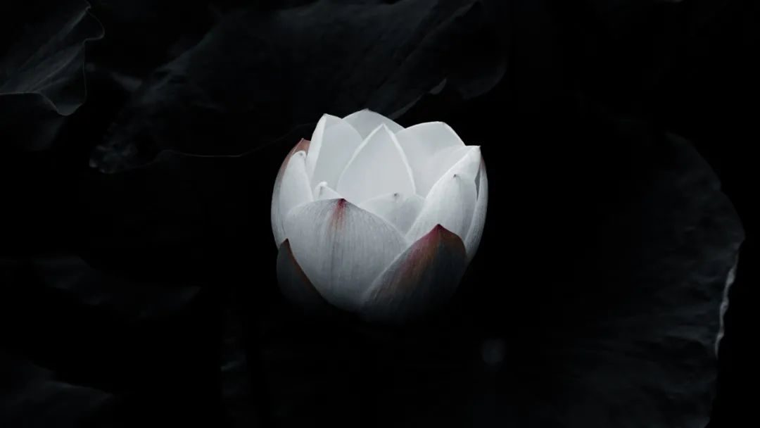 怀德学院“心怀正气 尚德倡廉”文化作品展