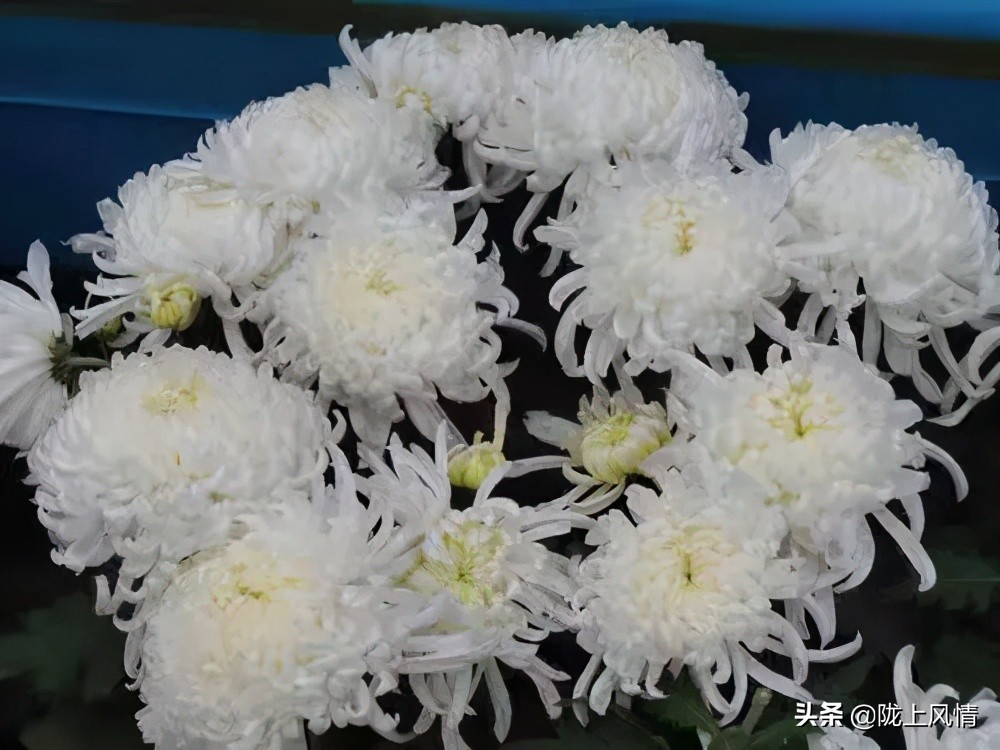 慎终追远，缅怀父亲恩德如山