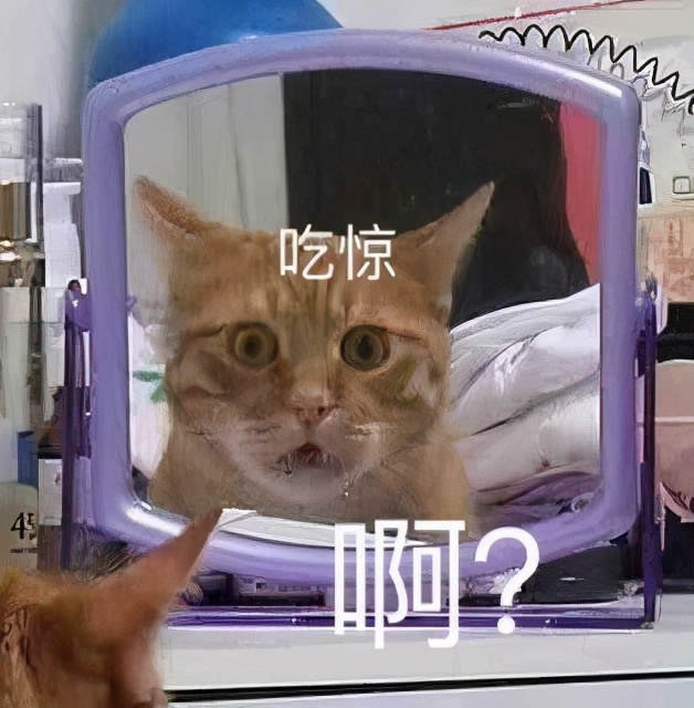 牙疼不是“病”？疼起来真要命！记住这一点，比任何治疗都管用