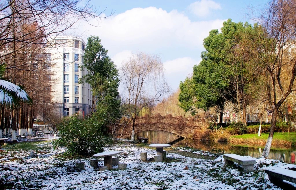 重磅！教育部最新通知：南京工业大学新增3个本科专业！