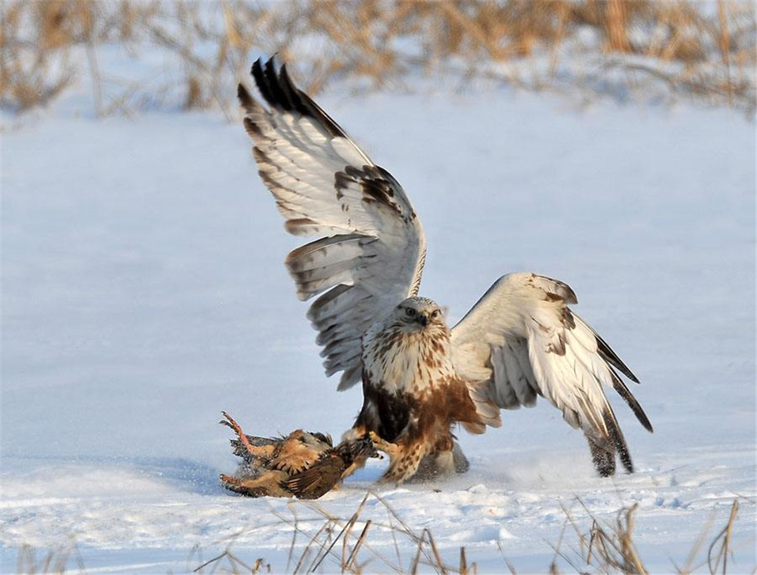 2a4fd25516b84229a71e0d29764476a6?from=pc