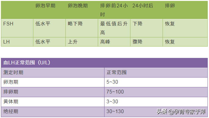 查性激素需要多少钱（月经不调）