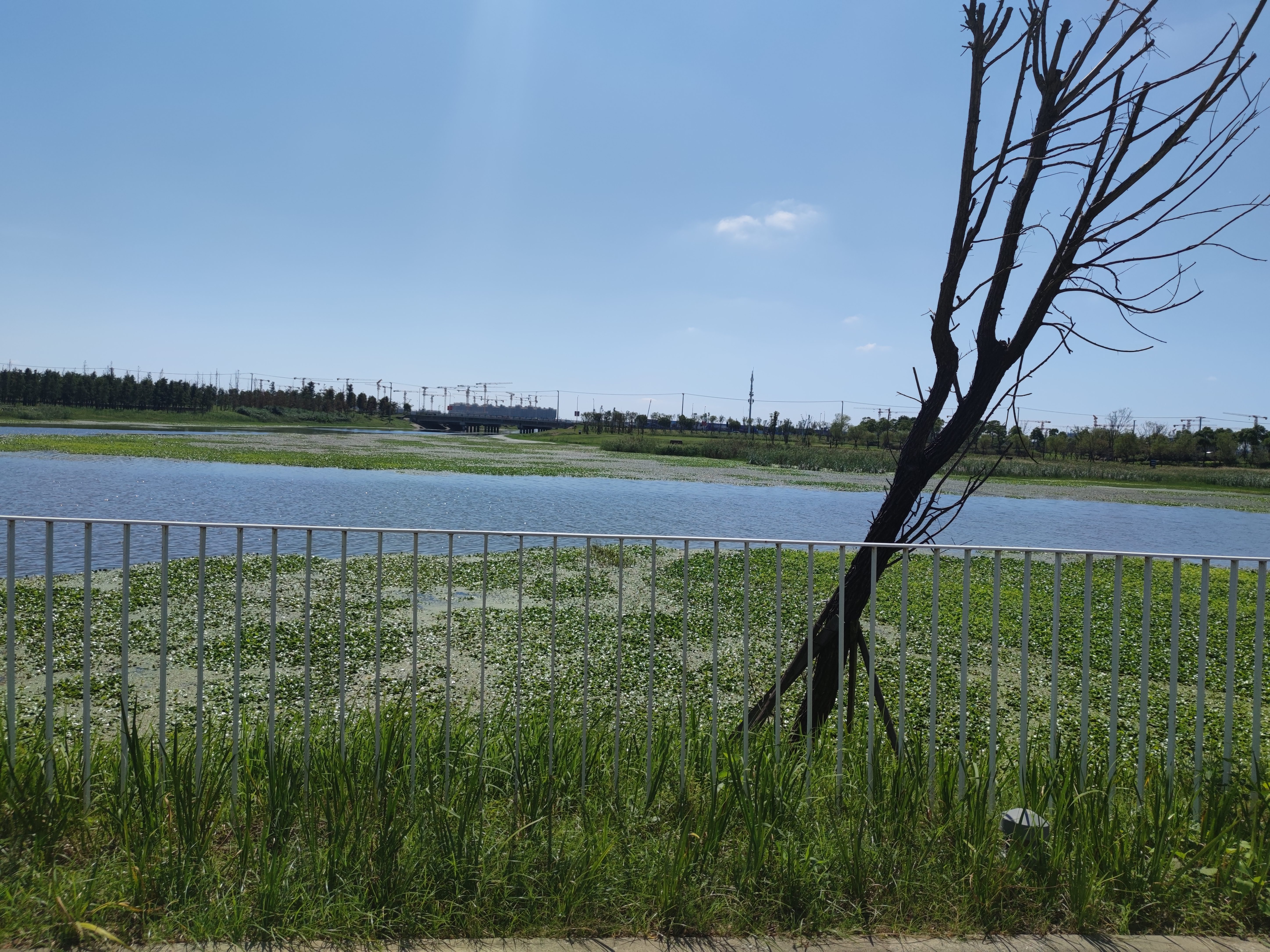 中央美术学院中法学院文化课考试及录取回顾