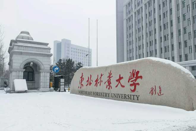 最新出炉：2020黑龙江省大学排名！哈尔滨工业大学继续领跑