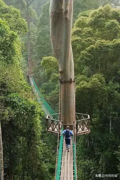 春天小路（美到心醉）