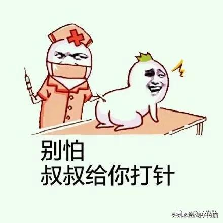 我被猫咪抓伤了,会死吗?《最全猫咪狂犬病脱恐大全》