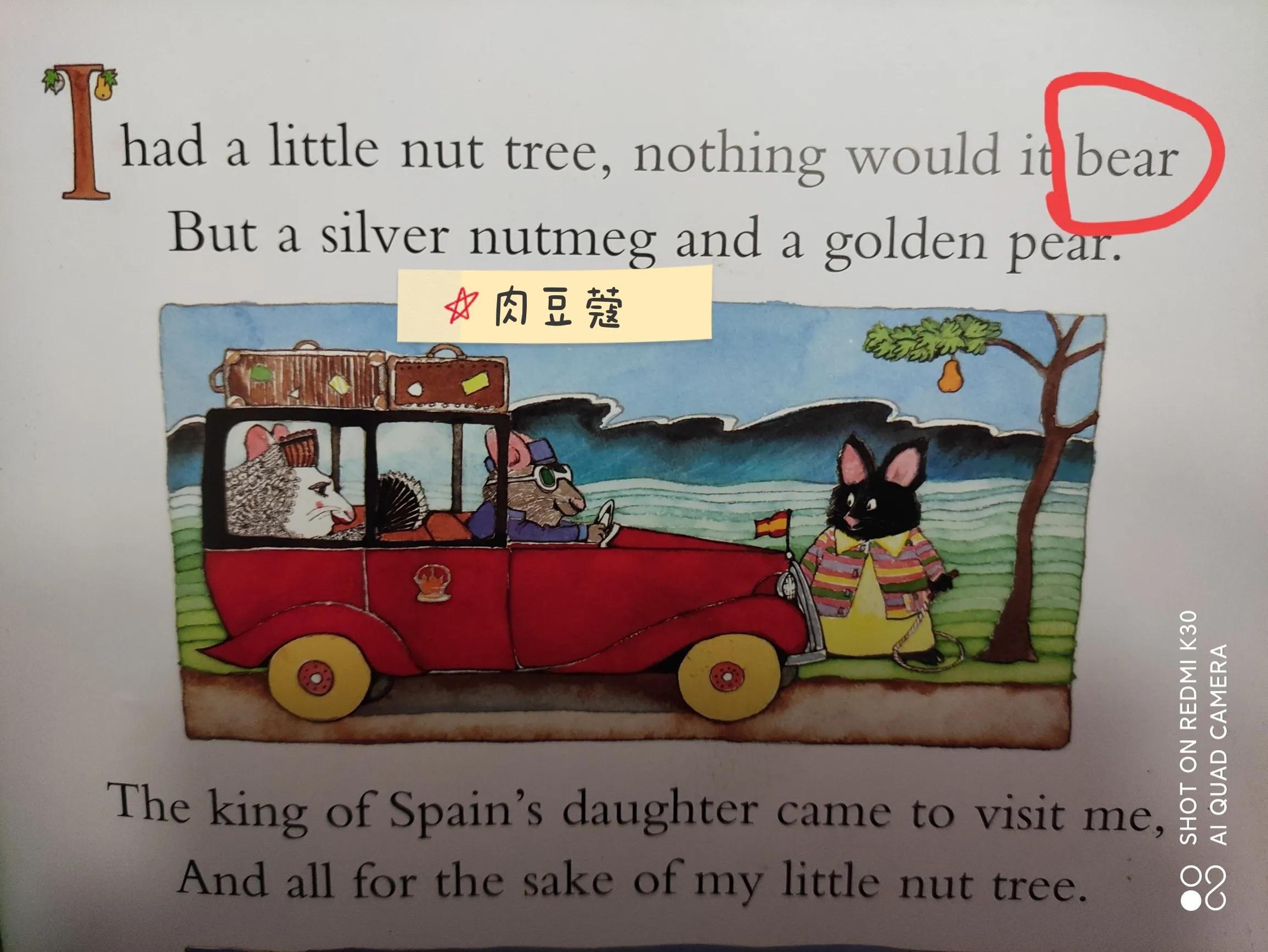 鹅妈妈童谣中bear的另类解读：熊的英语发音与熟词生义探秘