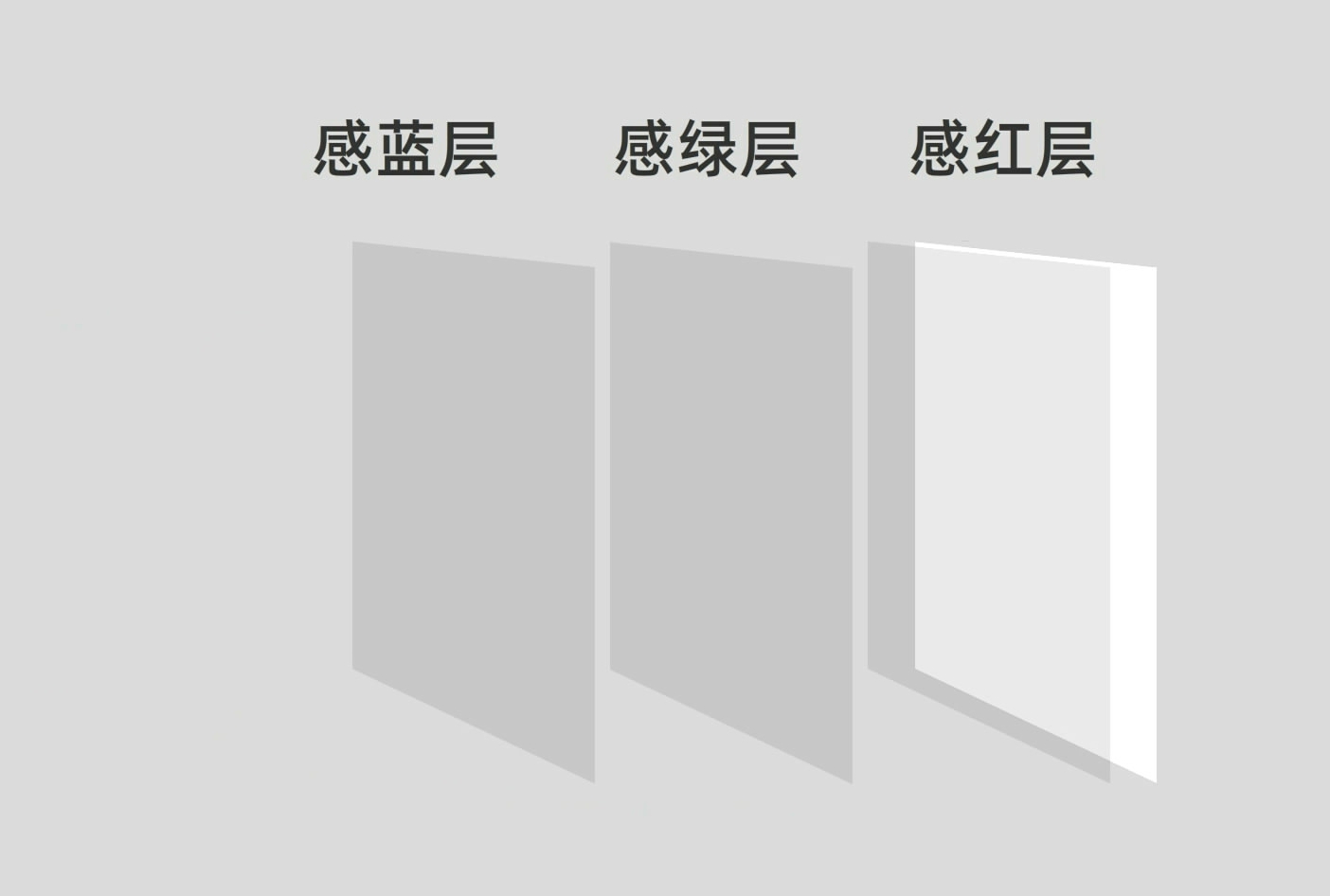 一看就懂：冲洗底片和照片的原理