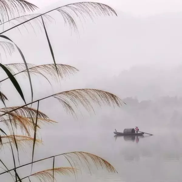 乌篷船，一袭烟雨枕江南