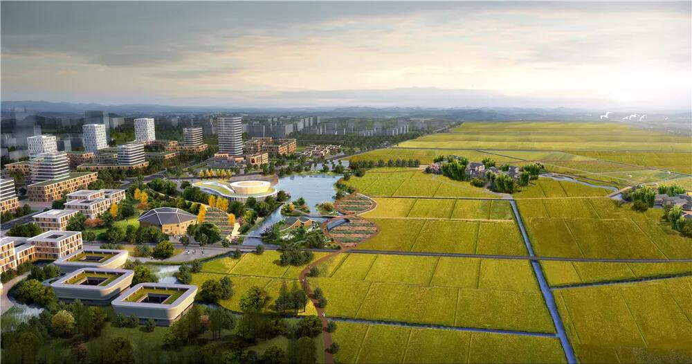 成都各区(11区5市4县)2020最新规划发展—最全收纳（建议收藏）