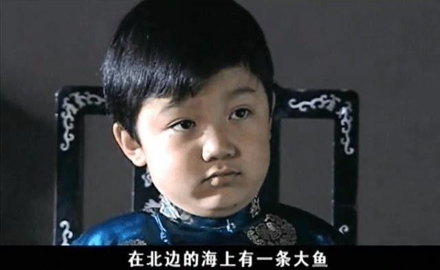 还记得《家有儿女》三姐弟吗？哥哥姐姐都大火，弟弟如今颜值逆袭