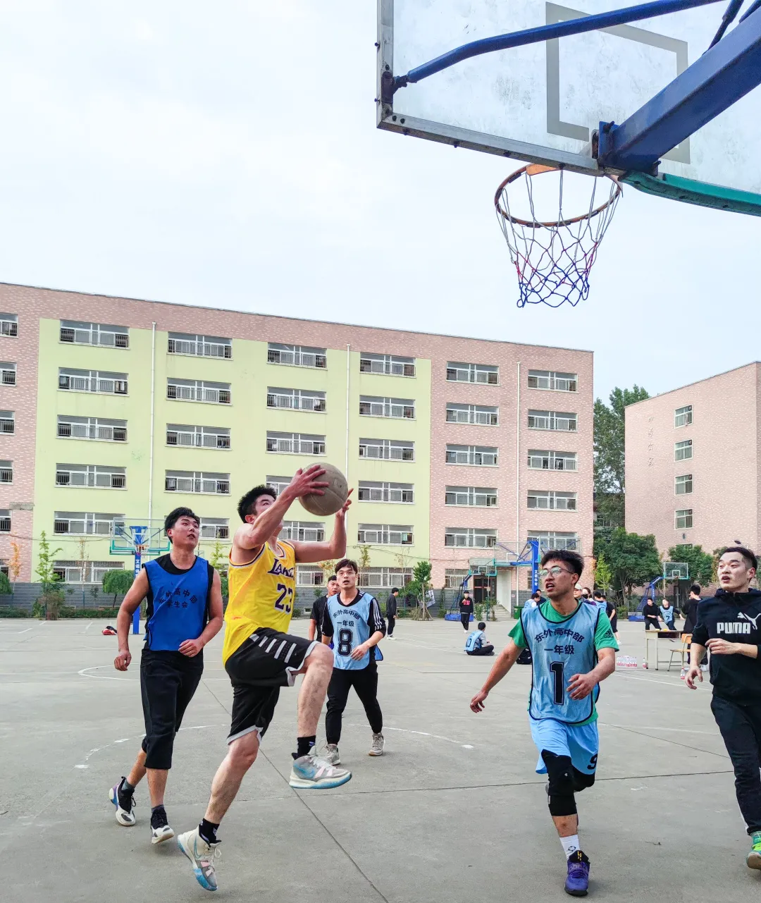 洛阳东方外国语学校招聘（东外风采丨为秋日的校园生活喝彩）