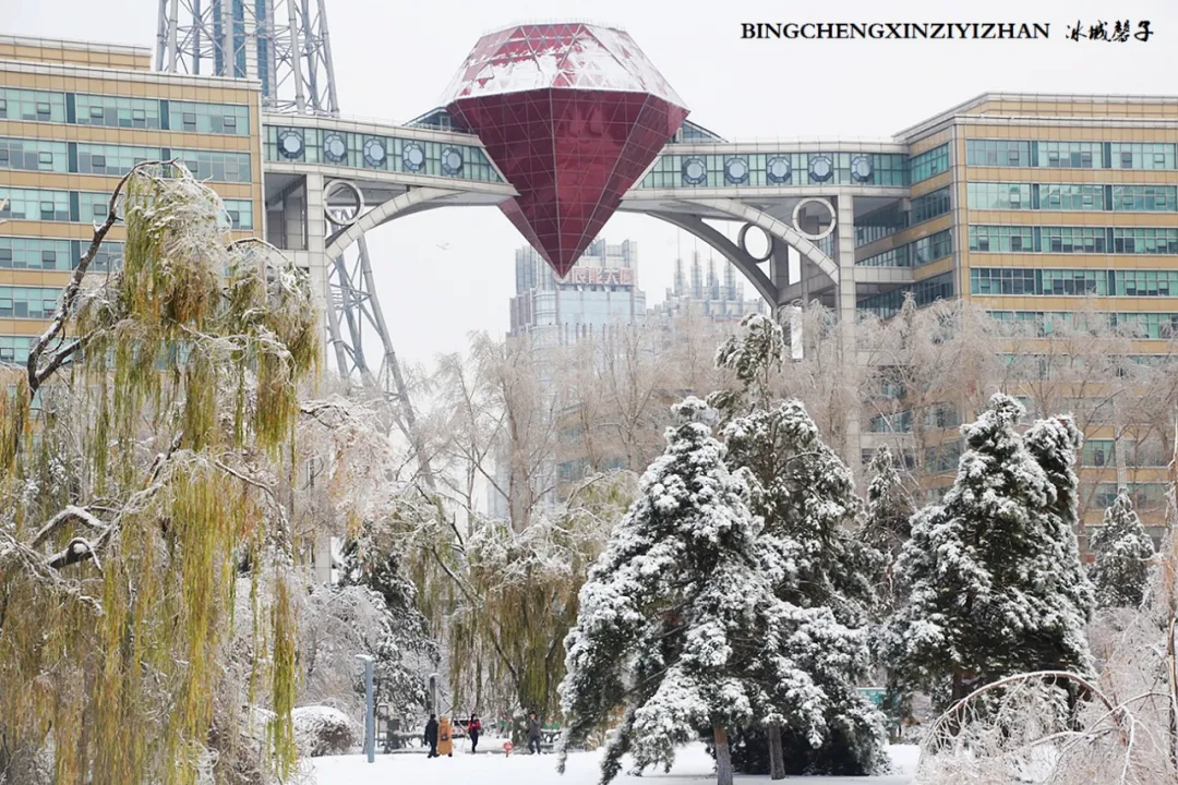 冰城暴雪冻雨之时，却让哈尔滨成为冬的水墨画卷