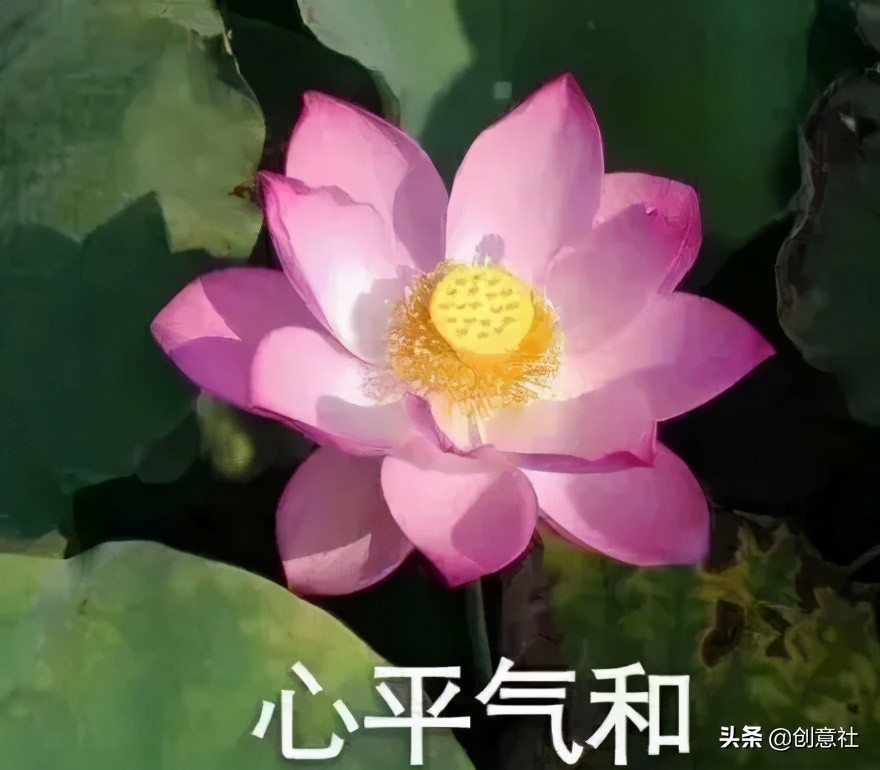 岳云鹏高考祝福翻车，考生：去你的吧哈哈哈哈哈