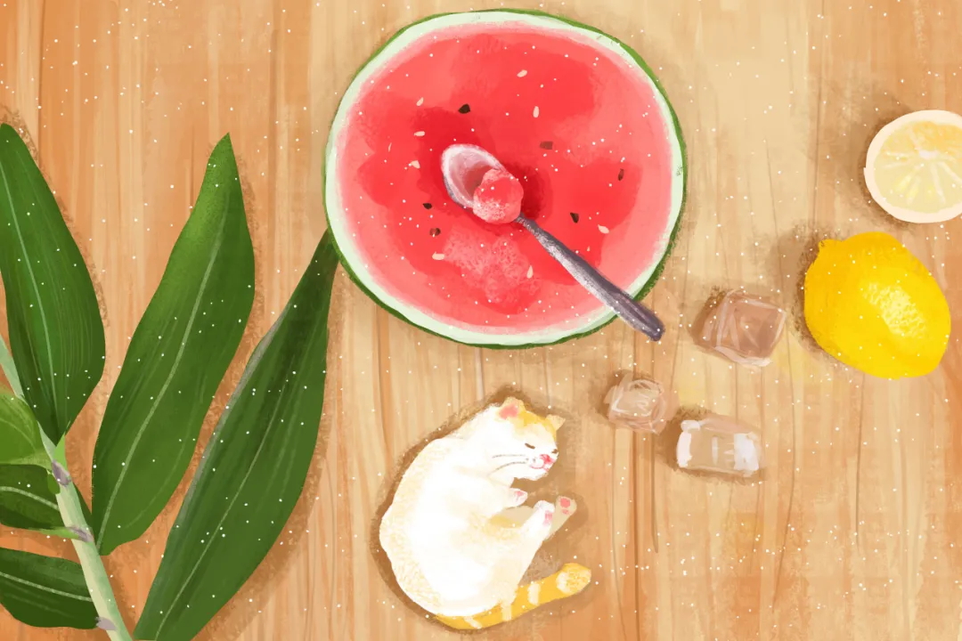 中医食疗必备——食物寒热属性表