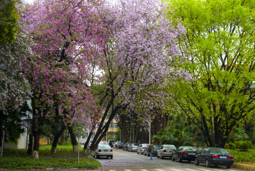 华南理工大学专业（专业盘点）