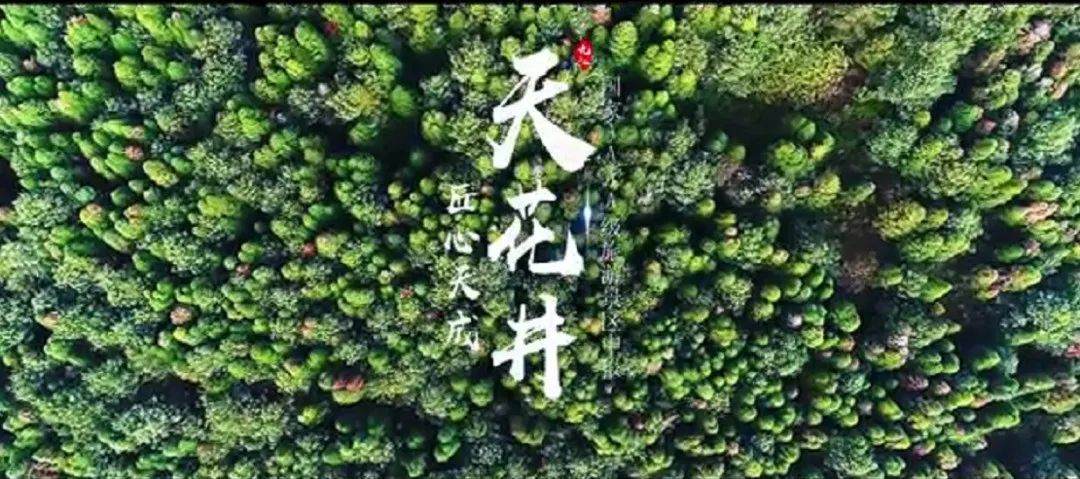 华汉文旅天花井创建4A级景区项目高分通过景观质量评定