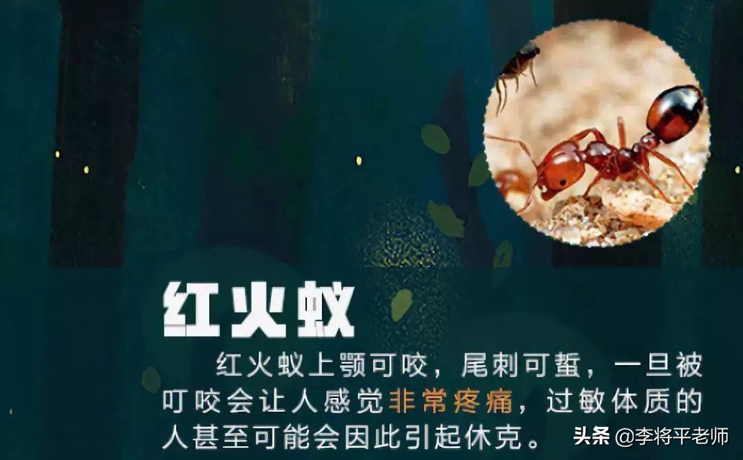 海关如何知道你带了活物入境？细数中国入侵生物中的英雄和耻辱们