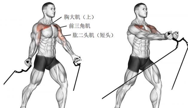 如何練出迷人上胸？從這組動作入手，為你打造完美胸型