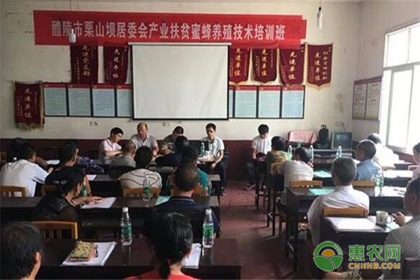 什么是村两委？几年换一届？2021村两委换届选举最新规定