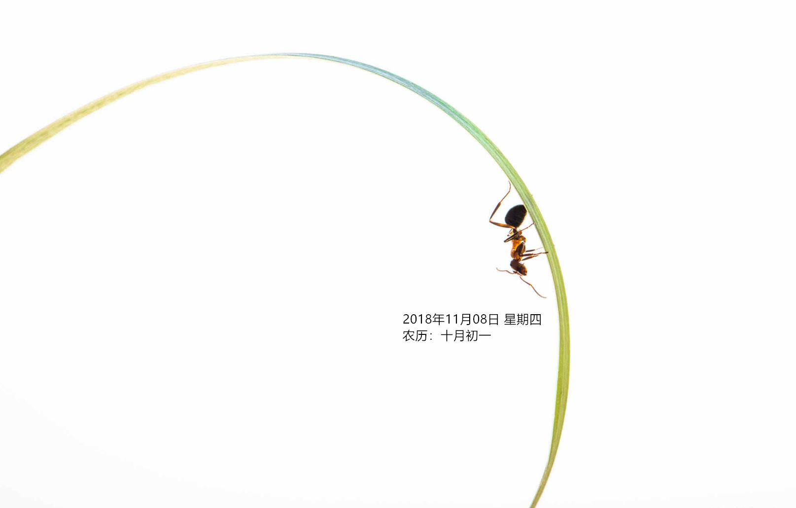 早安心灵鸡汤励志语录 早安励志的说说句子，得福翡翠