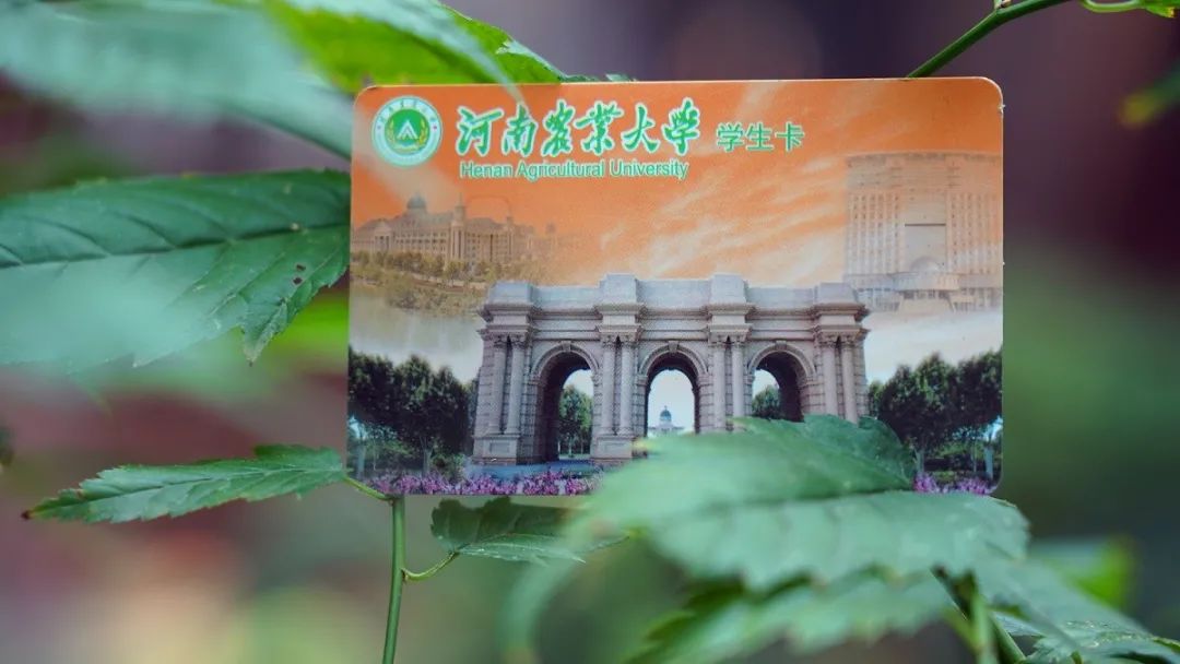 @小20，你有一张电子校园卡待领取