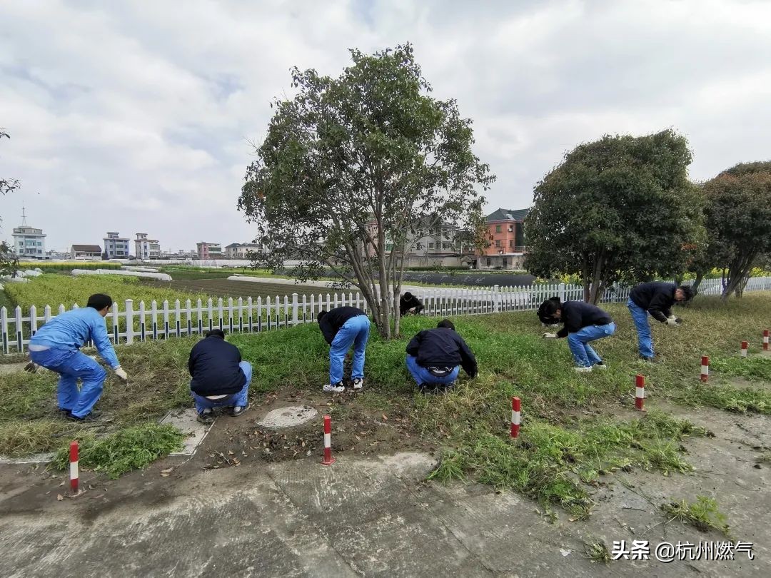 草木之心，乃是人心|春光无限好 履“植”正当时… ​