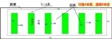 六月份疾病高发,小龙虾养殖户要注意!小龙虾甲壳变红有啥坏处?