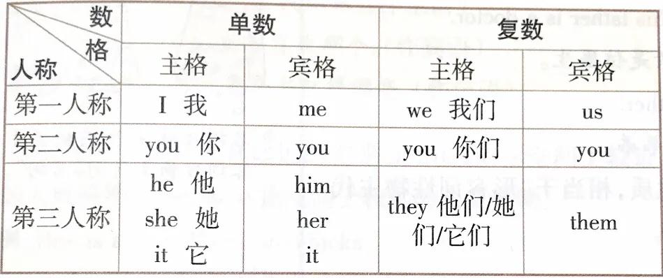 英语词法#小学英语#代词#人称代词@1
