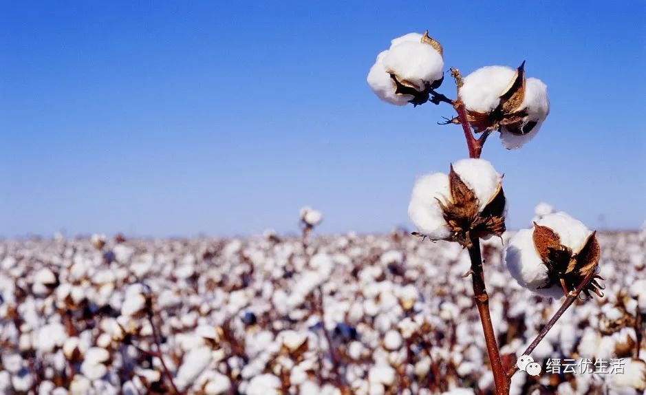 壶镇第一家工厂：溪头街中兴麻袋厂，开启壶镇工业重镇的不凡之路