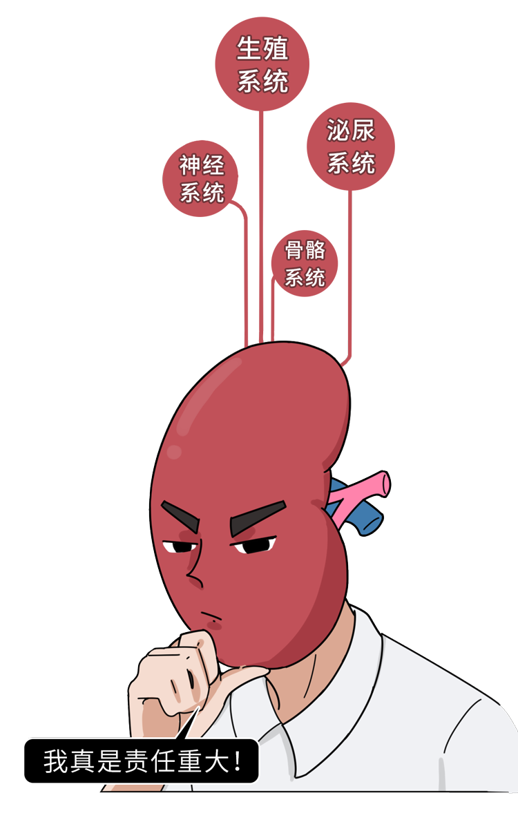 致男人：肾虚到来时，身上有这10个“蛛丝马迹”，一次性告诉你