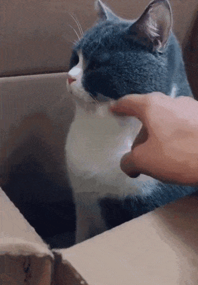 2020版最新法官、检察官表情大全！哈哈哈