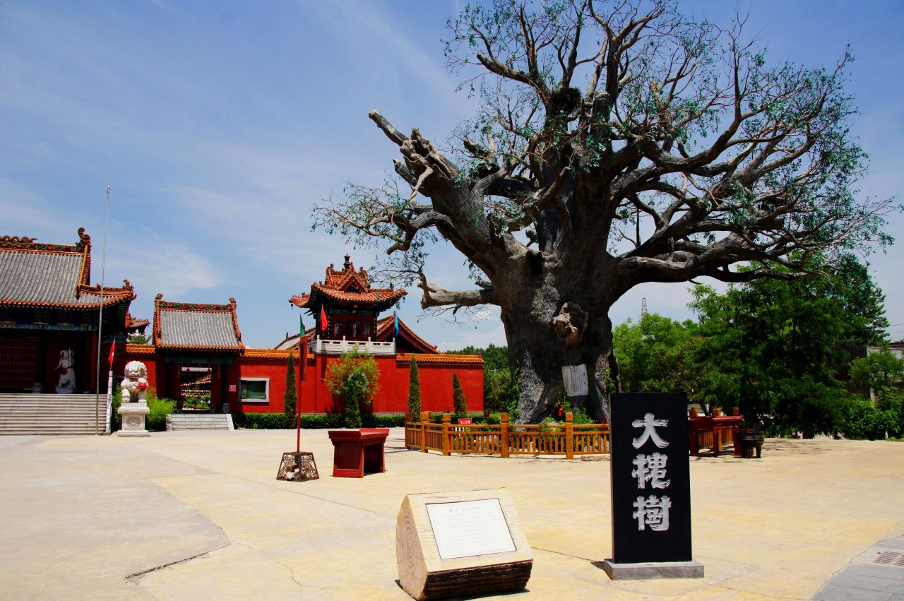 山西大槐树移民故事(浅谈山西大槐树如何成了寻根之地)插图1