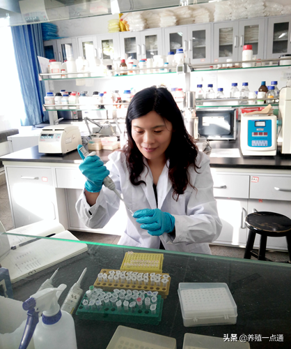 王昕（女），西北农林科技大学教授、博导，动物育种专家