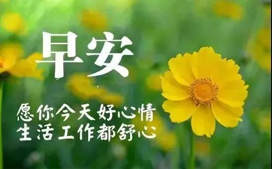 早安心语：雨后的彩虹更美丽，磨难的人生更辉煌