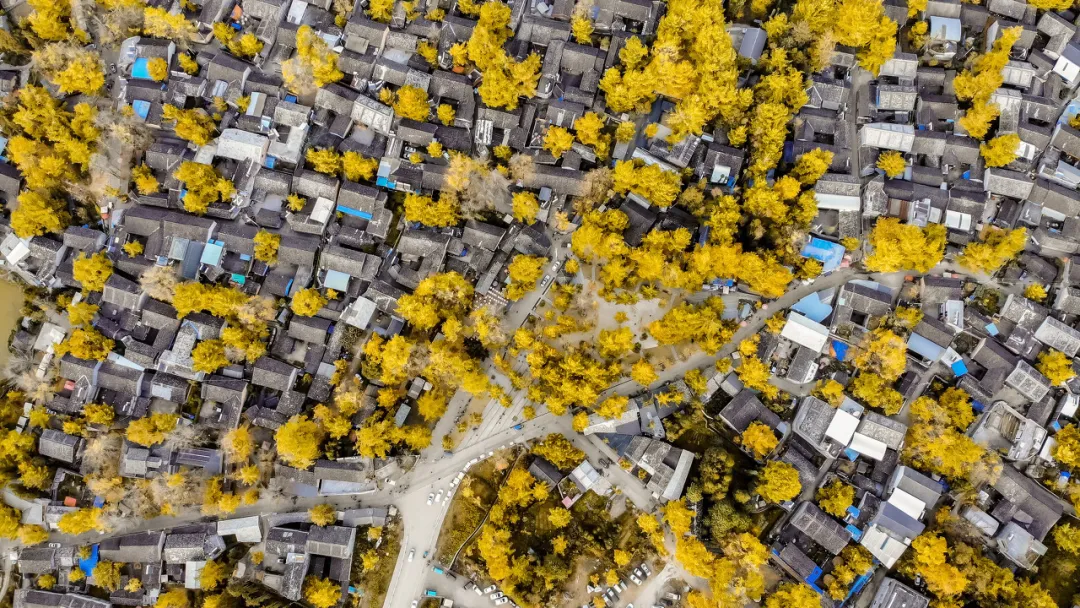 太美了!10个愈秋愈美的小众旅行地,错过只能再等一年
