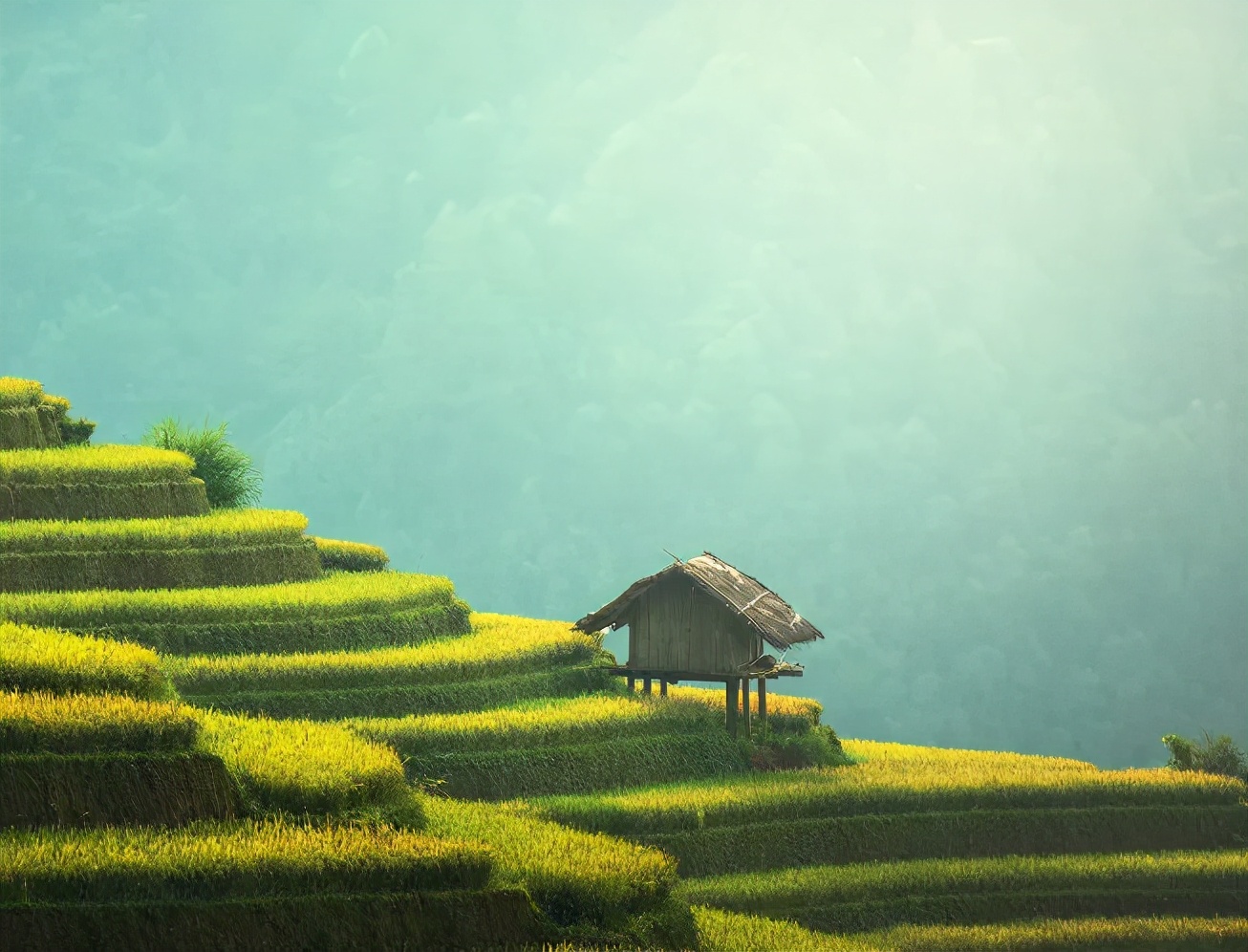 虎字家族：庐（廬）芦（蘆）虑（慮）滤（濾），​茅庐虽小却不能