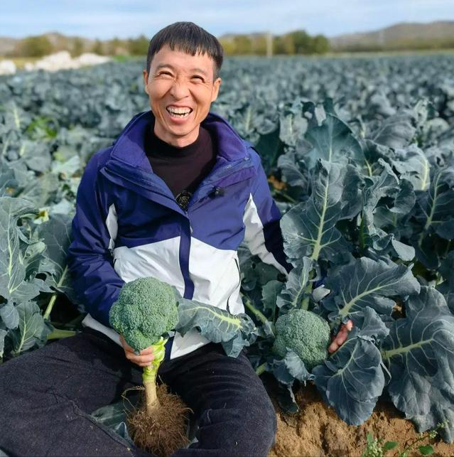 浙江大叔研究西兰花，年销售突破五百万，带动全国种植户共同富裕