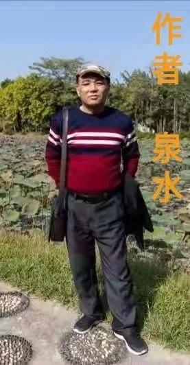 七夕散文诗(关于七夕的现代诗歌)