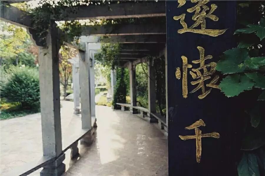 重回长安二中，解锁了一段青春