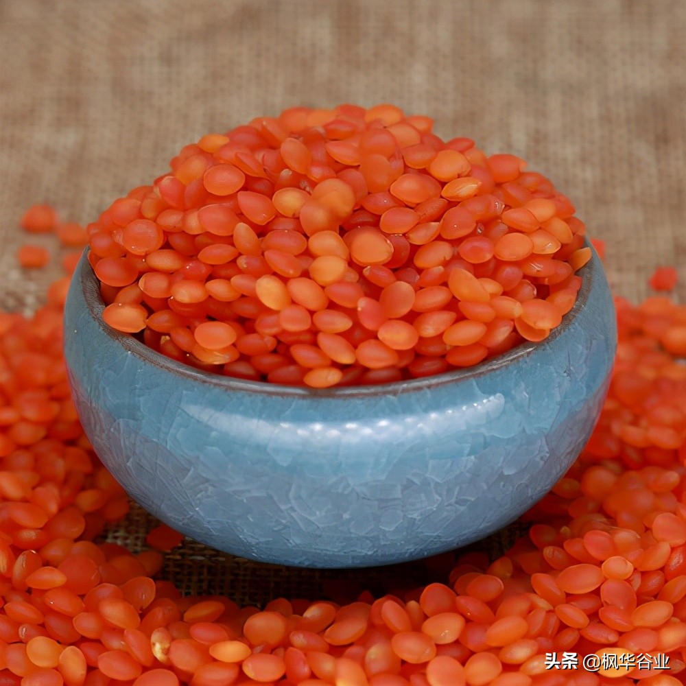 土耳其红扁豆的功效与作用-我的快乐小窝