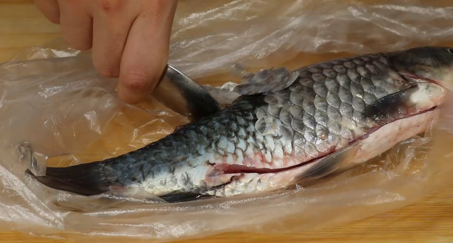 今天才知道，刮鱼鳞要加一个塑料袋，不飞溅不脏手，又快又干净