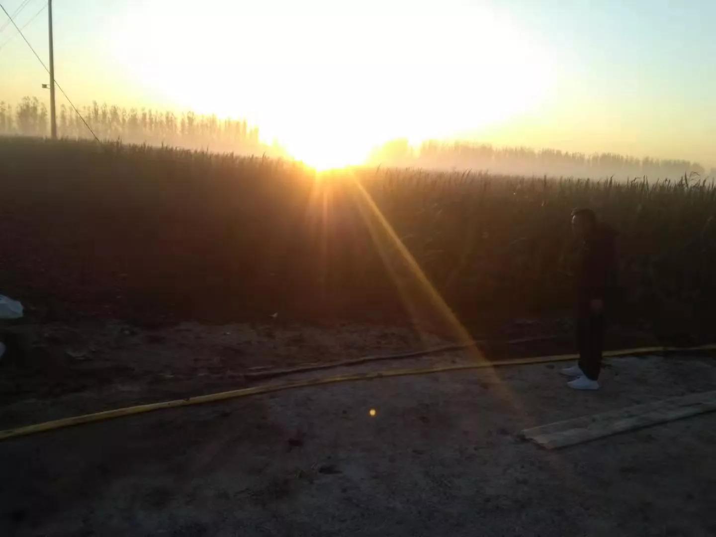 《原创文章》幸福就是不多想